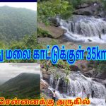 Javadhu Hills ஜவ்வாது மலை காட்டுக்குள் 35km பயணம் Thiruvannamalai, Tirupattur, Vellore, Chennai Near