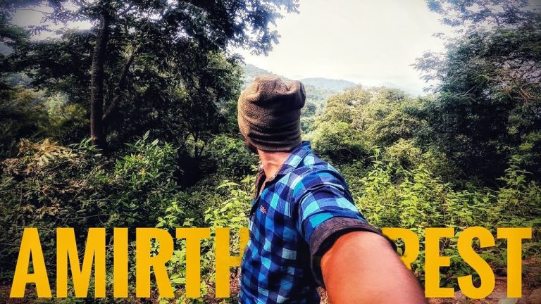 Unexplored places near Tirupattur| Amirthi Forest🌲| South India best Zoo🐢| Ride with praka.