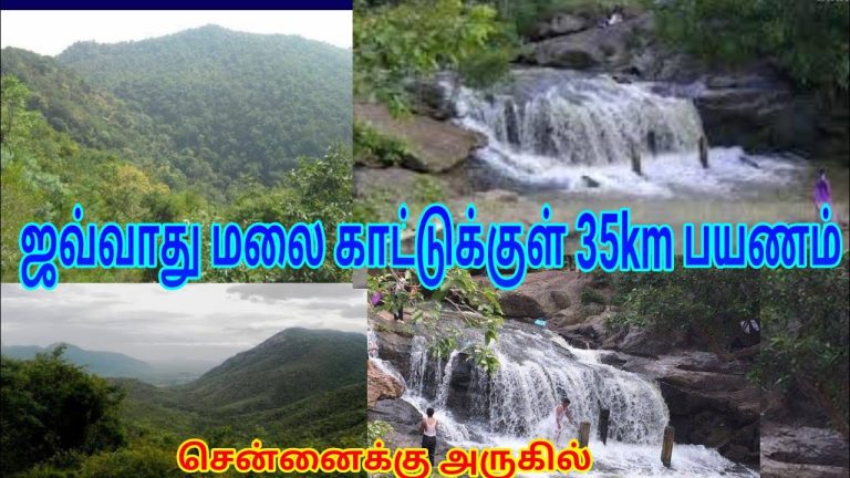 Javadhu Hills ஜவ்வாது மலை காட்டுக்குள் 35km பயணம் Thiruvannamalai, Tirupattur, Vellore, Chennai Near